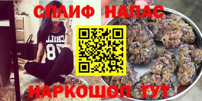 PSILOCYBIN Рыбинск